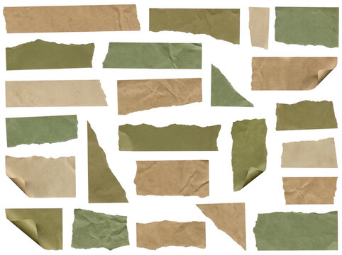 Collection of various torn paper strips and pieces in shades of green and brown isolated on transparent background