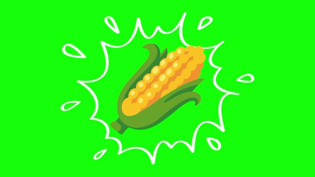 Corn on water splash, isolated vegetable animation. Animated vector motion graphic video on green screen or alpha channel. Illustration of fresh, organic, healthy vegetables and food icon