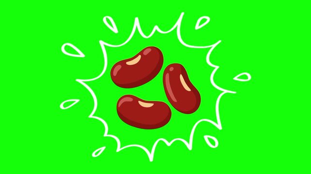 red kidney bean on water splash, isolated vegetable animation. Animated vector motion graphic video on green screen or alpha channel. Illustration of fresh, organic, healthy vegetables and food icon