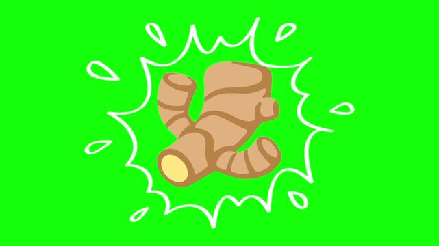 ginger on water splash, isolated vegetable animation. Animated vector motion graphic video on green screen or alpha channel. Illustration of fresh, organic, healthy vegetables and food icon