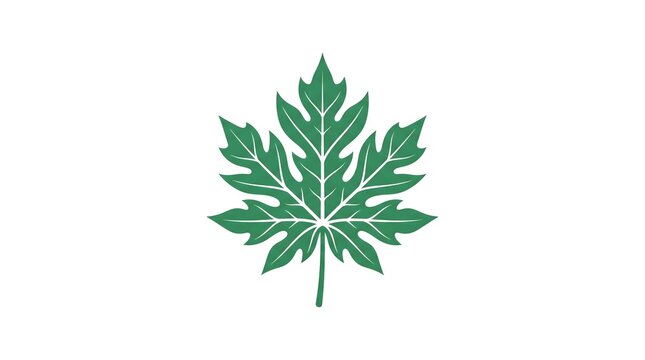 Vibrant green papaya leaf vector icon with detailed white veins, isolated on a clean white background, perfect for tropical nature and botanical designs