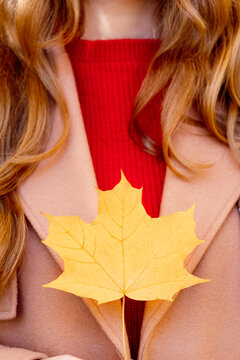 A close-up photo of a yellow maple leaf held by a woman in a coat. The woman has red hair. Autumn mood