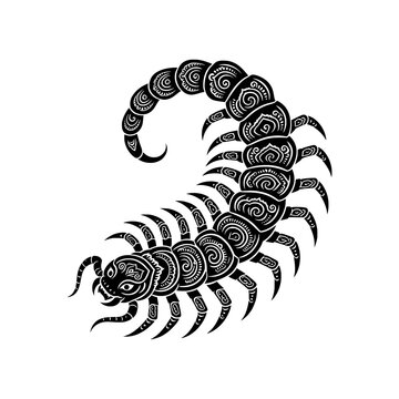 Mystical ornamental centipede vector with intricate segmented linework representing resilience, persistence and defense.