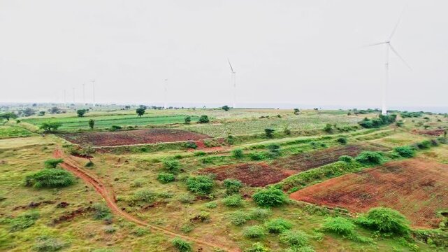 cotton farming with crop farming field and windmills at utnal, Vijayapura, karnataka, india. day time, push back shot, drone shot, 4k.