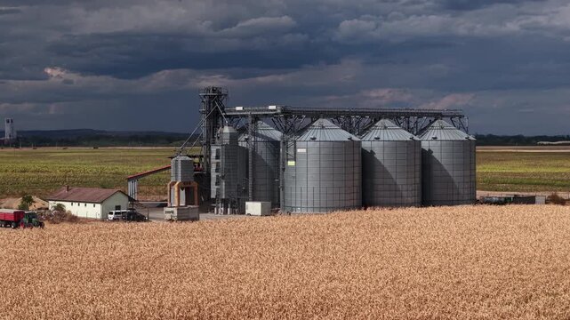 An industrial grain elevator facility stands prominently amidst a vast golden corn field under a dramatic, cloudy stormy sky.