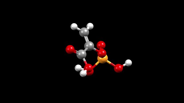 Structure of phosphoenolpyruvate. Animated 3D ball-and-stick and spacefill models, black background.