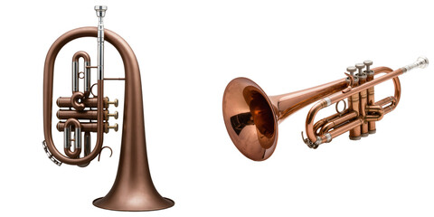 Two copper brass musical instruments, a flugelhorn and a trumpet, isolated on a transparent background. © Phuong