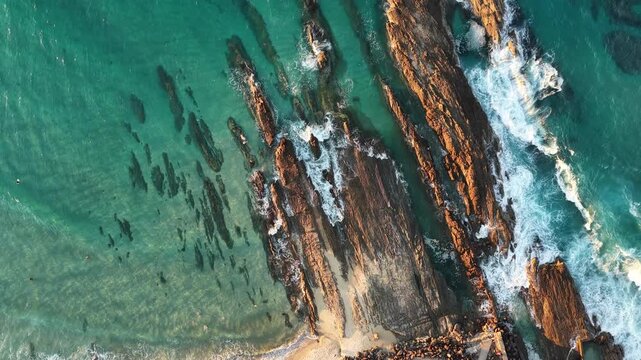Top down drone footage of surf washing over the rocks at Snapper Rocks, Coolangatta, Queensland Australia
