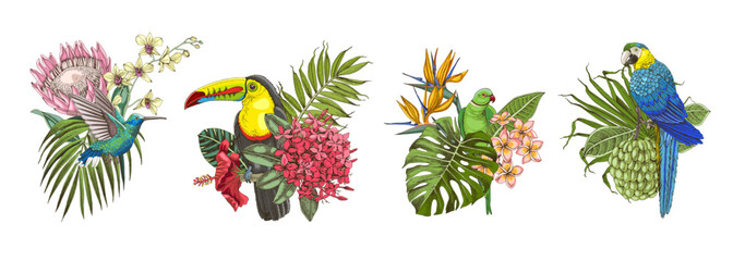 Obraz premium Tropical arrangements with fruits, leaves, birds and exotic flowers