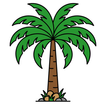 palm tree vector illustration