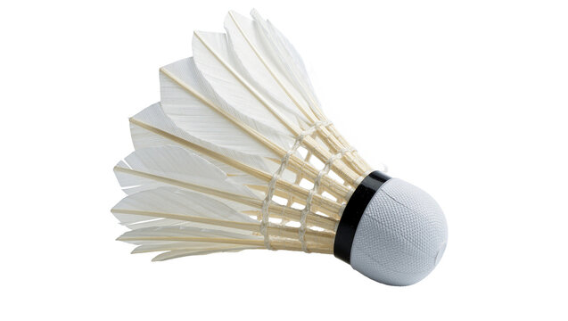 White feather shuttlecock with black band, isolated on transparent background