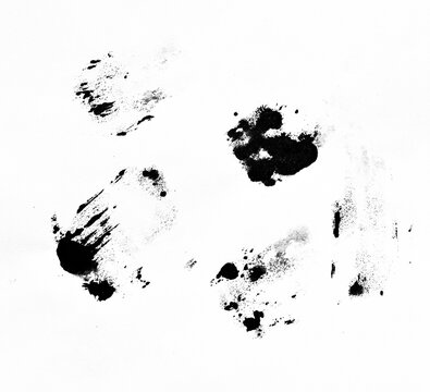 Black ink splatter and sponge stamp set, grunge paint texture isolated on white background.