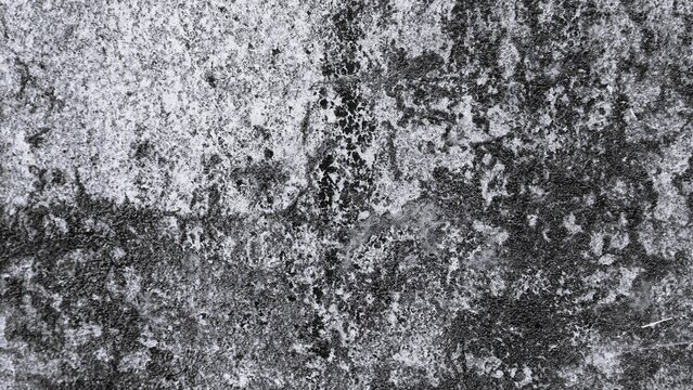 Black and white rough textured surface with dense natural grain and uneven patterns, suitable for grunge backgrounds, abstract compositions, overlays, and creative design.