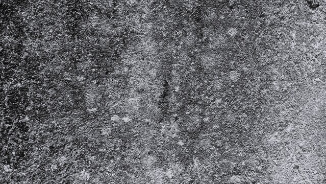 Rough black and white textured surface with dense granular details and subtle organic patterns, ideal for abstract backgrounds, grunge overlays, and monochrome graphic design.