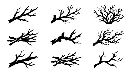 Obraz premium Collection of various bare tree branches.
