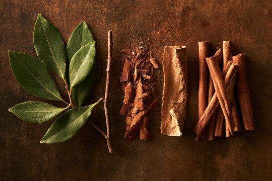cinnamon leaves, bark and sticks arranged in stages from fresh plant to dried aromatic spice on a rustic dark background, traditional cinnamon processing concept