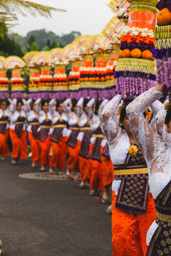 Balinese Women Carrying Towering Gebogan Offerings in Traditional Temple Procession at Ulun Danu Beratan Bali Indonesia