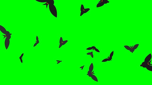 Vampire bats flock with glowing yellow eyes flapping wings in swarm flight for Halloween video compositing on chroma key green background