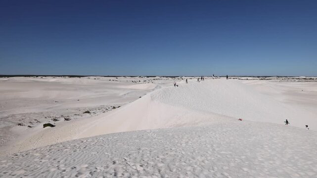 View of Lancelin Sand Dunes with people exploring the vast white sand landscape under a clear blue sky in Lancelin, Western Australia, Australia.