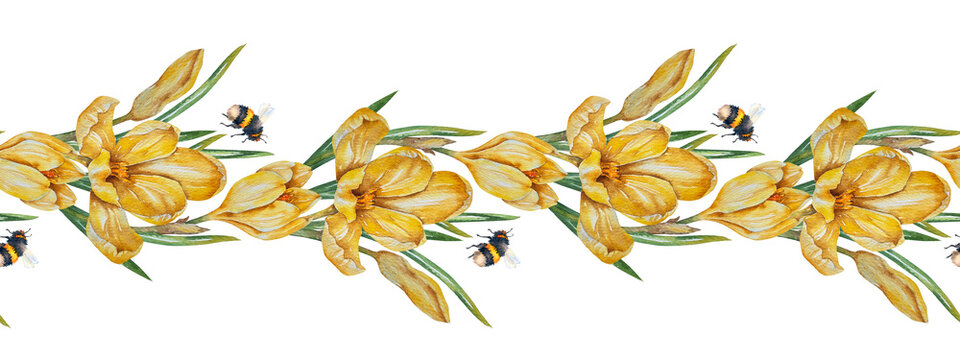 Watercolor seamless floral border with yellow crocus saffron flowers, bumblebees and green foliage. Illustration for spring packaging, textile, greeting cards, eco branding and festive decor.
