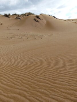 Sand Dunes and Coastal Vegetation in Arbus, Sardinia