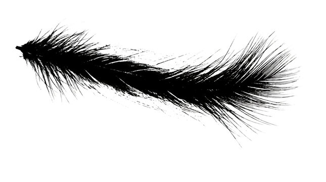 Premium black feather texture brush stroke isolated on transparent background