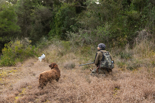 Hunter with spanish water dog stalking prey in forest