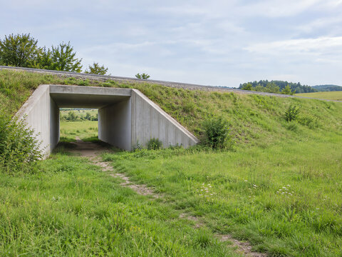 Wildlife Underpass Connecting Habitat Beneath Rural Road