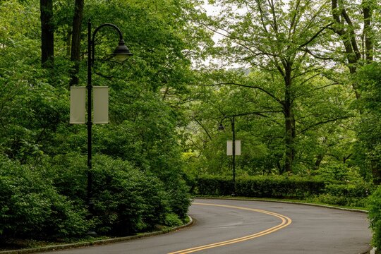 A winding paved road lined with lush green trees and two lamp posts