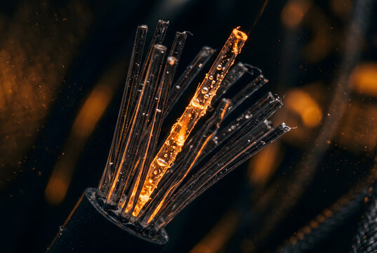 Macro Shot of Glowing Optic Fiber Cable Showing Optical Signal Degradation and Data Loss