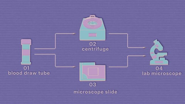 The specimen workflow branches and reconverges as a blood sample proceeds through collection, centrifugation, slide preparation and microscopic examination. Flat 3D style with smooth matte surfaces
