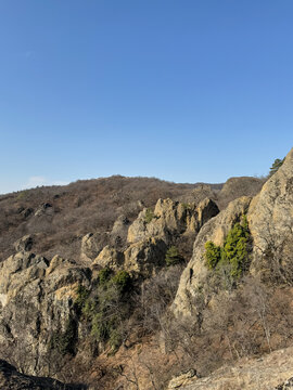 Rugged rocky cliffs and dry forest under clear daylight sky.