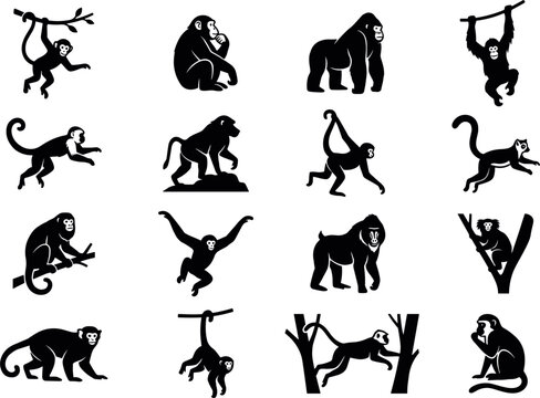 Monkey silhouette vector set featuring gorilla chimpanzee baboon orangutan lemur and ape poses isolated on white background for wildlife design projects