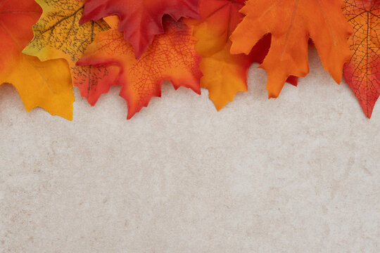 Fall leaves on marble stone background for your autumn message
