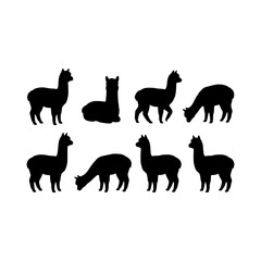 Obraz premium Alpacas standing sitting grazing silhouette vector illustration, Alpacas various poses silhouette design