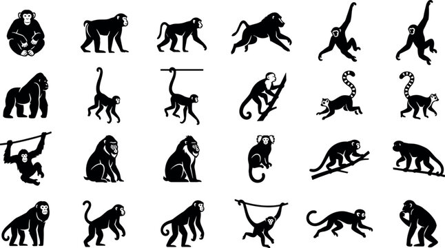 Monkey silhouette vector set featuring gorilla chimpanzee baboon gibbon lemur and ape poses isolated on white background for wildlife design projects