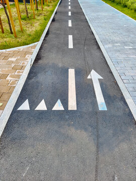 Asphalt bicycle lane with white direction arrow and traffic marking. Modern urban infrastructure for cycling and walking path in park zone