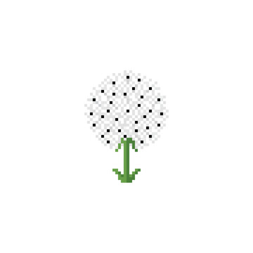 Minimalist pixel art dandelion seed head with stem.