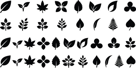 Obraz premium Diverse collection of black leaf icons presented as a clean vector graphic illustration featuring many unique botanical foliage shapes design