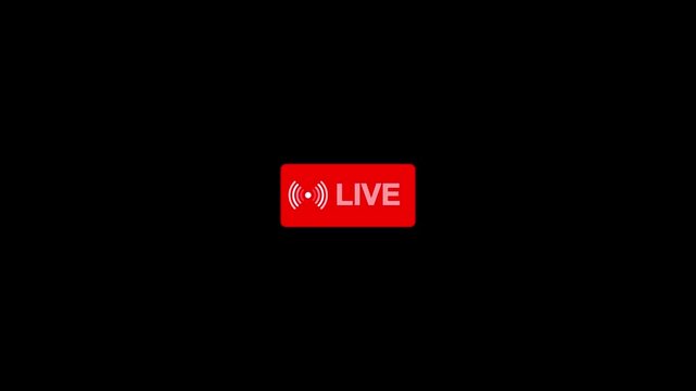 Live on icon animation.Video recording live animation with alpha channel.Animated live report button with flickering white recording icon on red banner for breaking news and broadcast journalism.