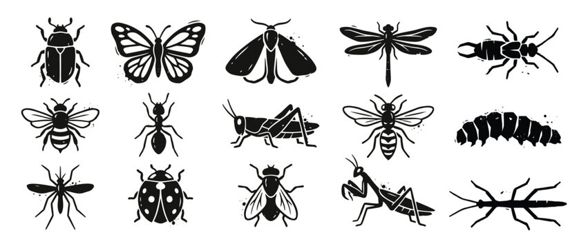 Collection of Vintage Linocut Insect Illustrations and Bug Icons