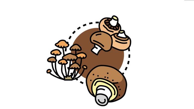 Gourmet mushrooms, including agaricus bisporus and other cultivated varieties, offering a rich source of flavor and essential nutrients as popular culinary ingredients