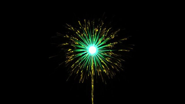 Fireworks explosion animated overlay with glowing green core and gold sparkling particles on black background
