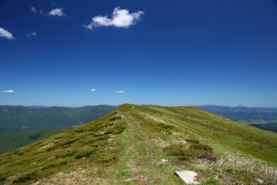Scenic view of a hiking path on a green mountain ridge under bright blue sky

