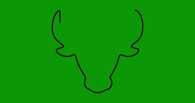 Minimalist bull head line drawing animation stroke effect silhouette isolated on vibrant green screen.