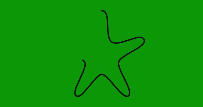 Animated line drawing of starfish shape on green screen background showing creative vector art.