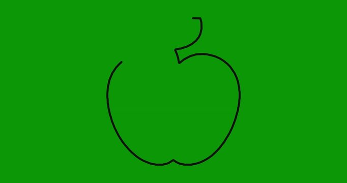 Minimalist hand drawn line art animation of apple on green screen background for creative design.