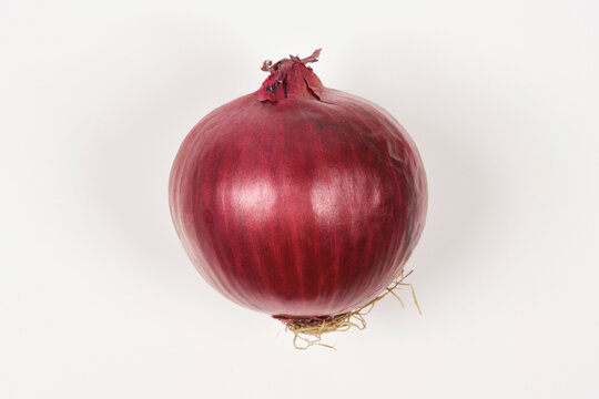 A centered view shows a single ripe red onion with a papery skin and small roots sitting on a clean white surface.