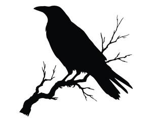 Obraz premium Silhouette of a crow perched on a tree branch