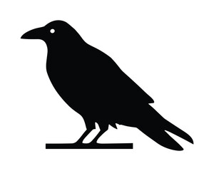 Obraz premium Silhouette of a crow bird isolated on white background